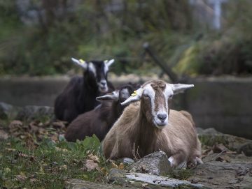 7 tips voor een dagje weg met senioren