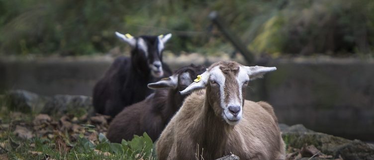 7 tips voor een dagje weg met senioren